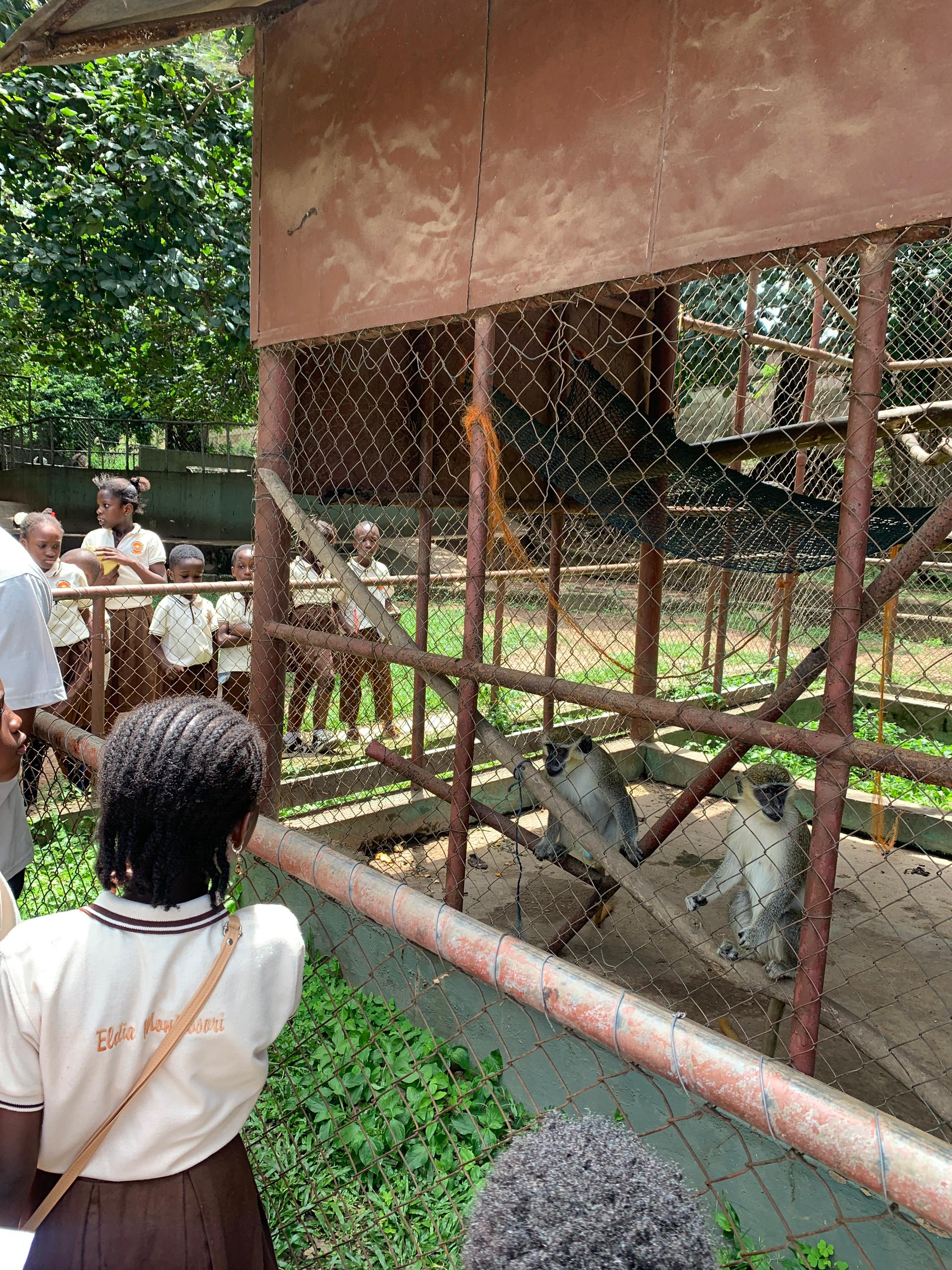 Educational trip-Kumasi Zoo
